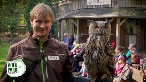 Flugschau im Wildpark Müden geht in Winterpause YouTube