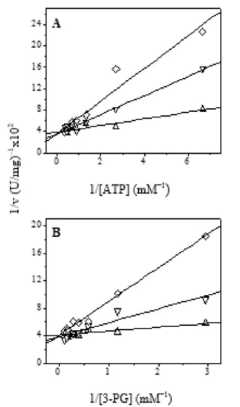 Steady State Kinetic Plots PGKB 11mer PGKB 18mer And