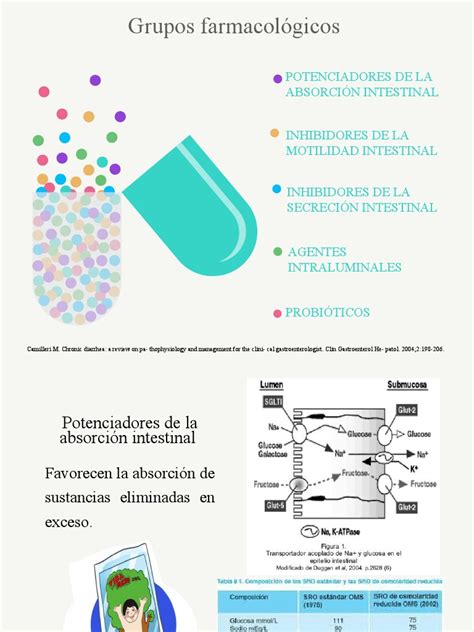 Fármacos Diarrea | PDF | Diarrea | Farmacocinética