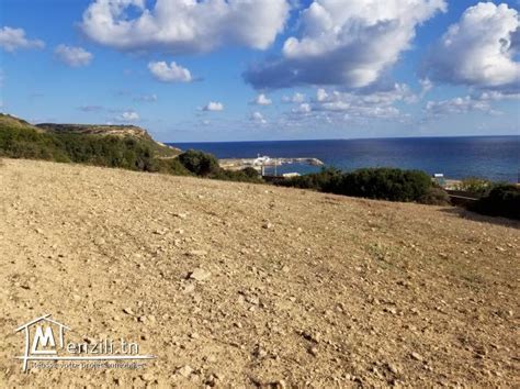 Terrain Terrain Sur Les Hauteurs De Cap Zbib Bizerte Ras Jebel Menzilitn