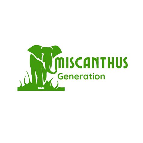 Se Lancer Dans La Culture De Miscanthus Miscanthusg N Ration