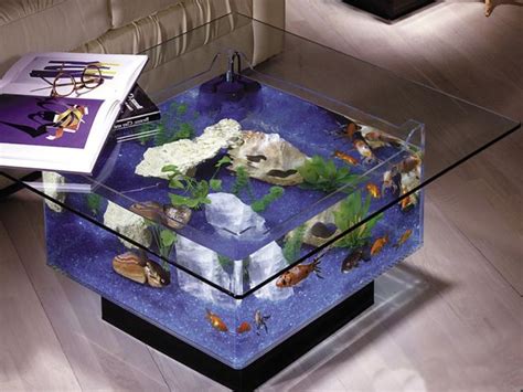 40 Cool Aquarium Ideas to Inspire You on Your Quest