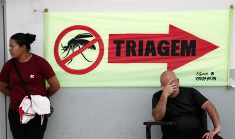 Dengue Em S O Paulo N Mero De Bitos Em Ultrapassa Total Dos