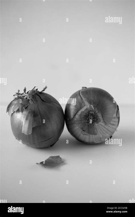 Farmers Food Market France Black And White Stock Photos Images Alamy