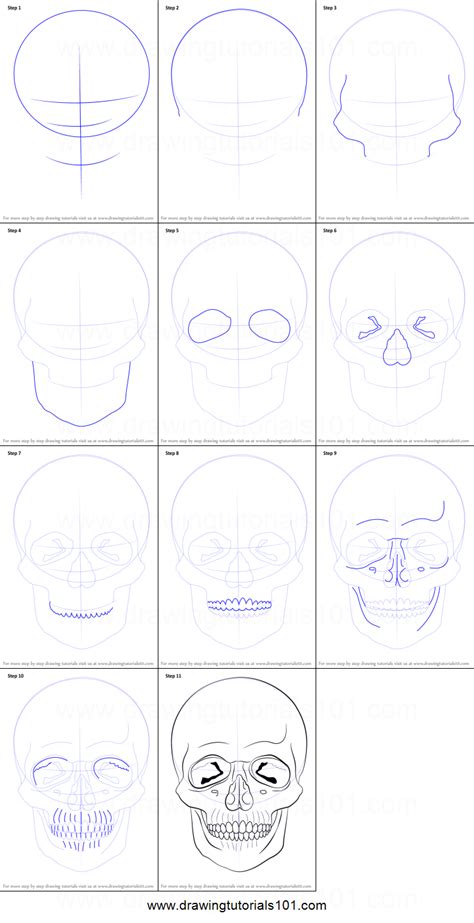 Skull Sketch Step By Step at PaintingValley.com | Explore collection of Skull Sketch Step By Step