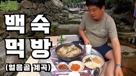 시원한 계곡에서 옻닭 백숙 먹방 음주방송 Youtube