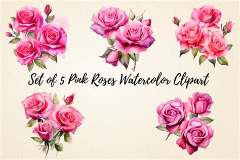 Pink Roses Watercolor Clipart Bundle Graphic By Pcudesigns · Creative