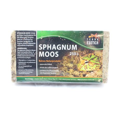 Sphagnum Mos Dutch Rana