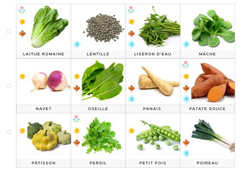 Dépliant nomenclature : les légumes - Le Monde de Jenn