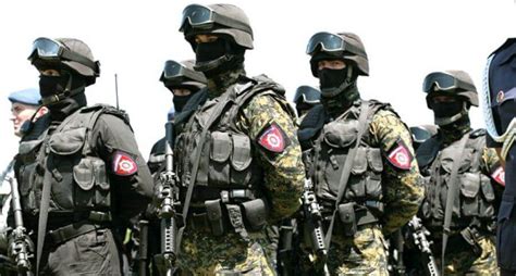 All The Special Forces Uniforms From Around The World