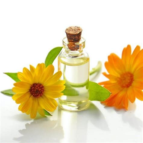 Sunflower Oil (Carrier Oil) - Cold Pressed - Elsie Organics ...