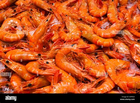 Australia Sydney Fish Market Shrimp Stock Photo Alamy