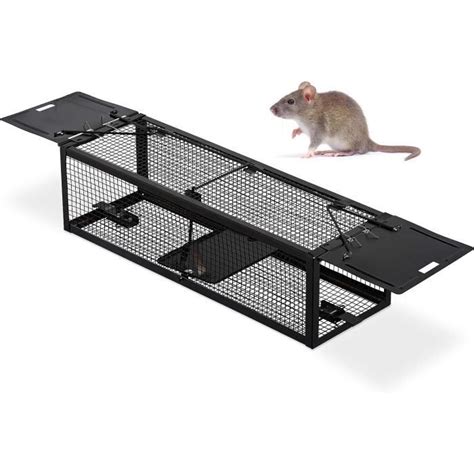 Pi Ge Souris Rats Rongeurs Nuisibles Cage Respectueux Des