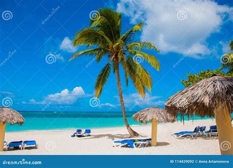 Holguin Cuba Stock Images - Download 521 Royalty Free Photos