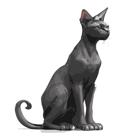 Premium Vector | Customizable black sphynx cat graphic adaptable black ...