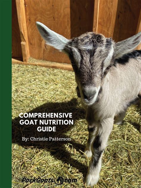 Comprehensive Goat Nutrition Guide Packgoats