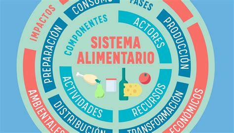 Qué es un sistema alimentario sostenible AlimentaODS Alimenta ODS