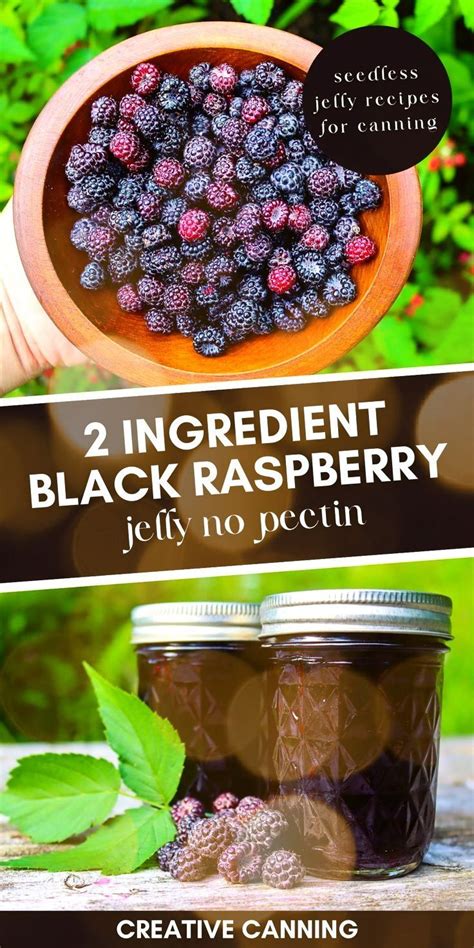 Seedless Raspberry Jelly Recipe Artofit