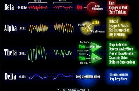 Brainwaves Reflexology Chart Brain Waves What Is Brain