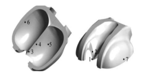 Erosion Zones On Pelton Turbine Bucket 12 Download Scientific Diagram