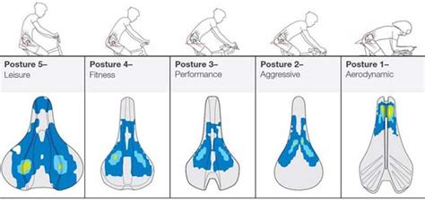 Choosing The Right Mountain Bike Seat Mountain Biking In Southern Ca