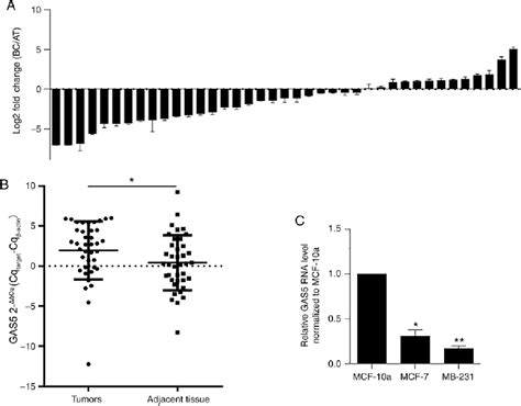 Figure 1 From Long Non Coding Rna Growth Arrest Specific 5 Gas5 Acts