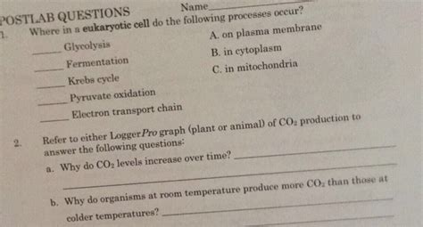 Solved POSTLAB QUESTIONS 1 Where In A Eukaryotic Cell Do Chegg