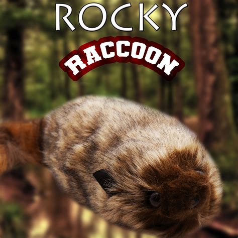 Rocky Raccoon Zaubertrick Bühne Magic Factory