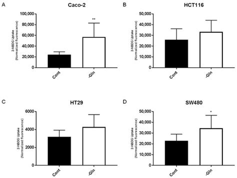 Glutamine Starvation Affects Cell Cycle Oxidative Homeostasis And