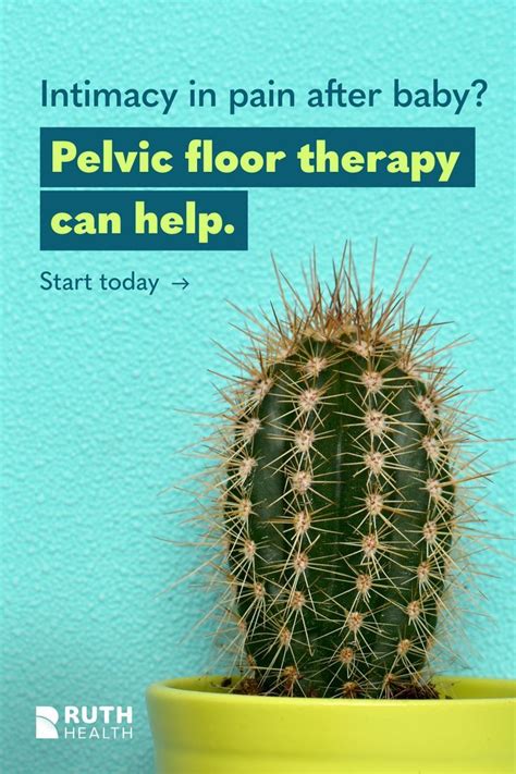 Pelvic Floor Rehabilitation Artofit