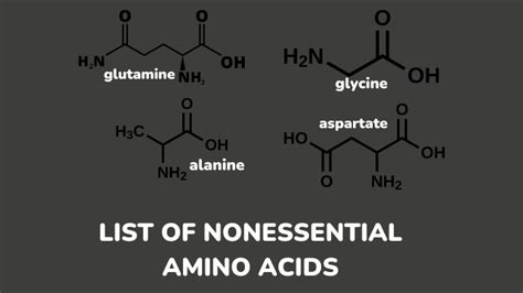 Nonessential Amino Acids: Composition, Functions, And Food Sources - Gezro