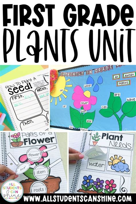 Teaching Your Primary Students All About Plants All Students Can