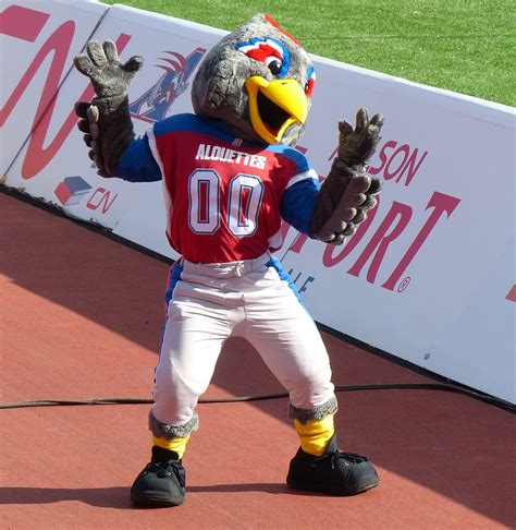 Panasonic FZ200 Football Touché Montréal Alouettes Masc Flickr