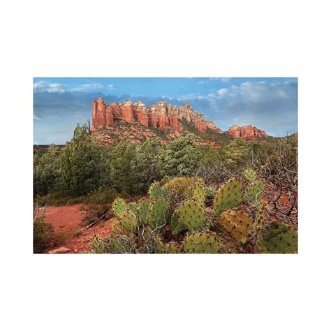 Natur Pur Coffee Pot Rock Near Sedona, Arizona by Tim Fitzharris