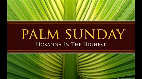 Palm Sunday Luke 1941 48 The Tension Between Hosanna And The Cross