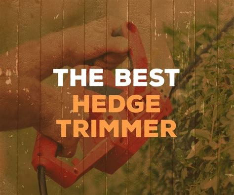 The Best Hedge Trimmer For Complete Buying Guide Reviews