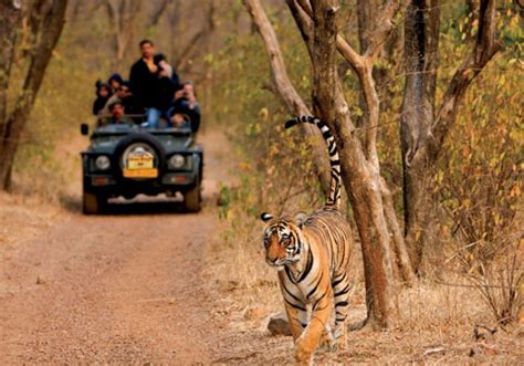 Nights Days Golden Triangle Tour With Ranthambore Delhi Agra