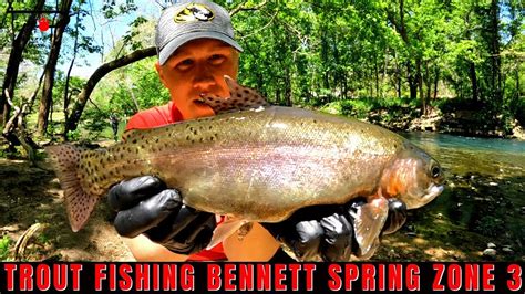 Bennett Spring Trout Fishing Zone 3 YouTube