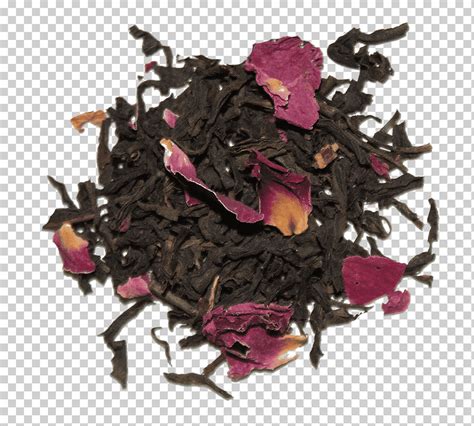 T Nilgiri Da Hong Pao Magenta Mar Camellia Sinensis Salvador Chino