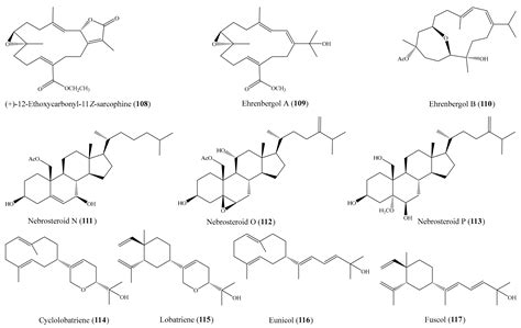 Marine Drugs Free Full Text Coral And Coral Associated