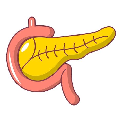 Premium Vector Pancreas Icon Cartoon Illustration Of Pancreas Vector