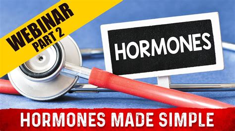 What Are Hormones And How Do Your Hormones Work Drbergs Webinar Part 2 Youtube