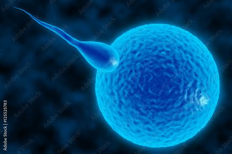 3d Illustration Of Sperm And Fertile Human Egg Fecundation