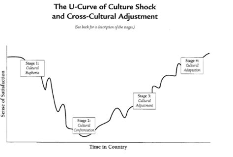 Culture Shock | International Programs and Education | WNE