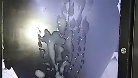 Free Gay Tribute Porn Videos XHamster