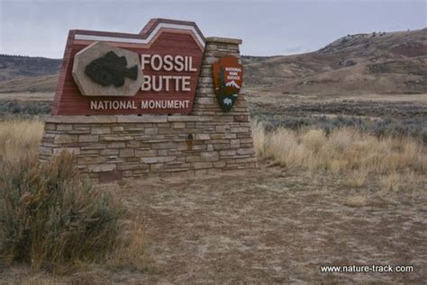 Fossil Butte National Monument