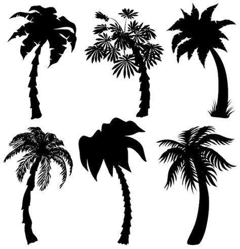 Premium Vector Set Of Tropical Palm Silhouettes