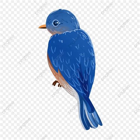 Hand Drawn Bird PNG Picture Hand Drawn Design Of A Blue Bird Cartoon