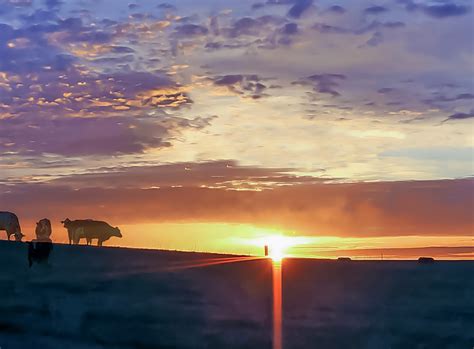 New Year, New Hope: 2024 will be year of reckoning, Part One | Ag Moos