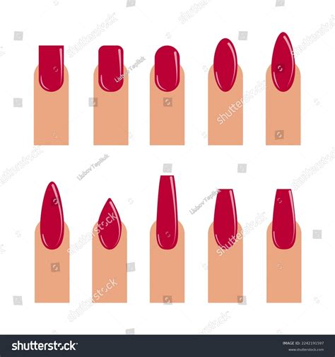 Set Different Types Fingernail Shapes Isolated Stock Vector (Royalty ...